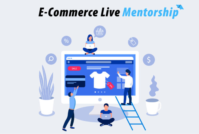 E commerce mentorship